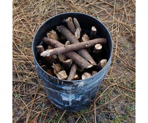 Seasoned sticks of Laurel hedge trimmings placed in a metal bucket.
