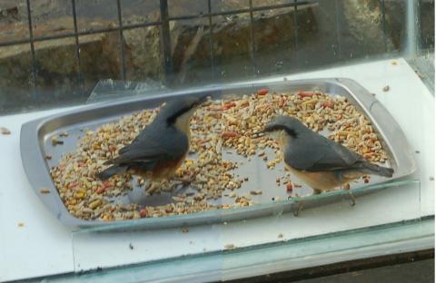 Male and Female